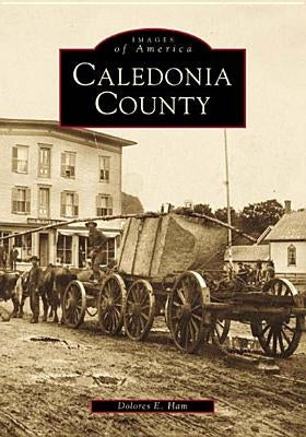 Caledonia County by Ham, Dolores E.