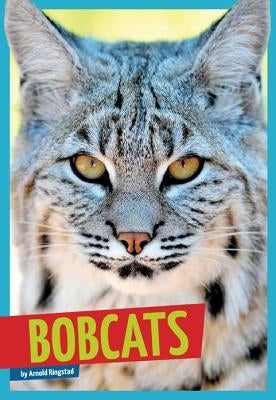 Bobcats by Ringstad, Arnold