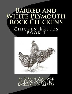 Barred and White Plymouth Rock Chickens by Chambers, Jackson
