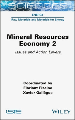 Mineral Resource Economy 2: Issues and Action Levers by Fizaine, Floriant