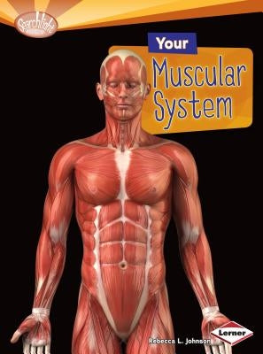 Your Muscular System by Johnson, Rebecca L.