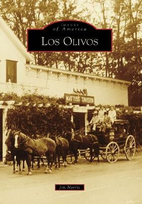 Los Olivos by Norris, Jim