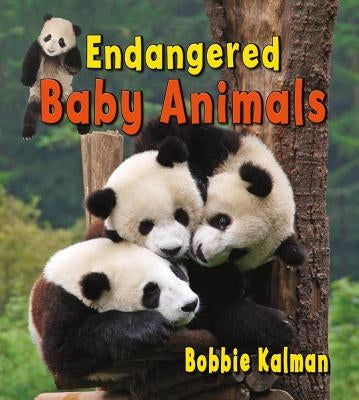 Endangered Baby Animals by Kalman, Bobbie