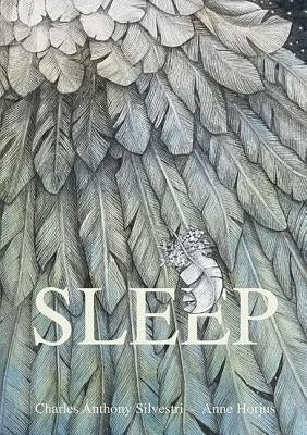Sleep by Silvestri, Charles Anthony