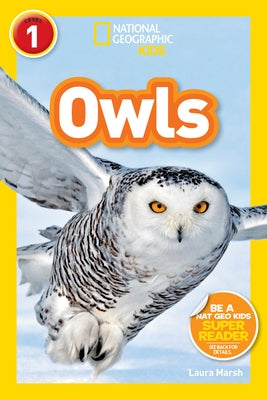 Owls by Marsh, Laura