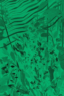 David Eisl: Green Screen Weeds and Dreaming Grids by Eisl, David