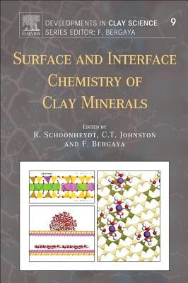 Surface and Interface Chemistry of Clay Minerals: Volume 9 by Schoonheydt, Robert