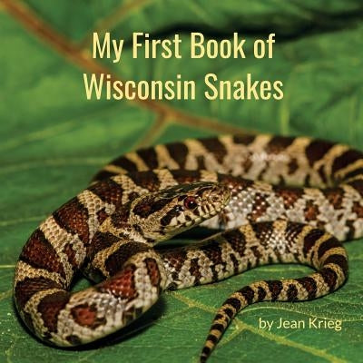 My First Book of Wisconsin Snakes by Krieg, Jean