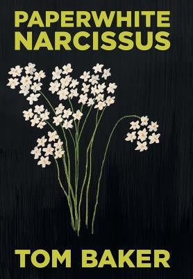 Paperwhite Narcissus by Baker, Tom