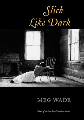 Slick Like Dark by Wade, Meg