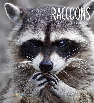 Raccoons by Gish, Melissa