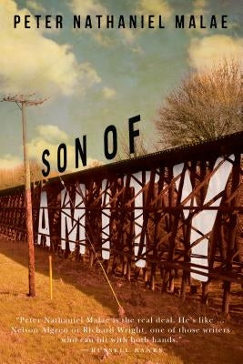 Son of Amity by Malae, Peter Nathaniel