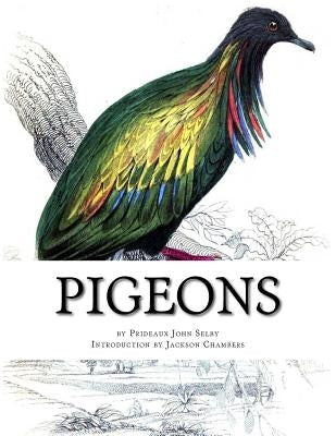 Pigeons: Pigeon Classics Book 9 by Chambers, Jackson