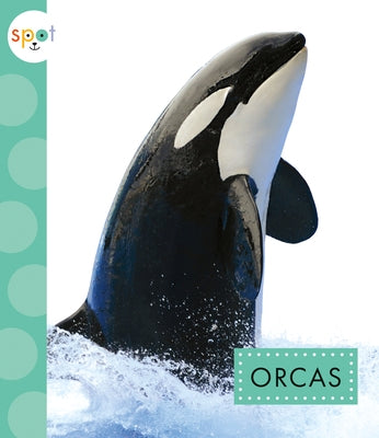 Orcas by Suen, Anastasia