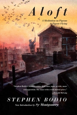 Aloft: A Meditation on Pigeons & Pigeon-Flying by Bodio, Stephen