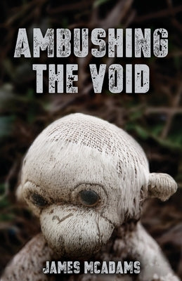 Ambushing the Void by McAdams, James