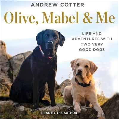 Olive, Mabel & Me: Life and Adventures with Two Very Good Dogs by Cotter, Andrew