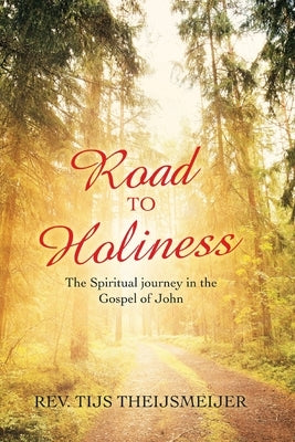 Road to Holiness: The Spiritual Journey in the Gospel of John by Theijsmeijer, Tijs