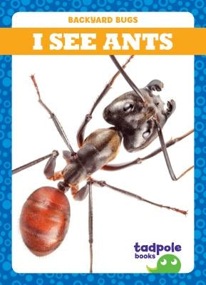 I See Ants by Nilsen, Genevieve