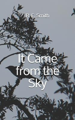 It Came from the Sky by Smith, R. E.