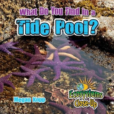 What Do You Find in a Tide Pool? by Kopp, Megan