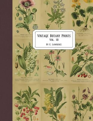 Vintage Botany Prints: Vol. 10 by Lawrence, E.