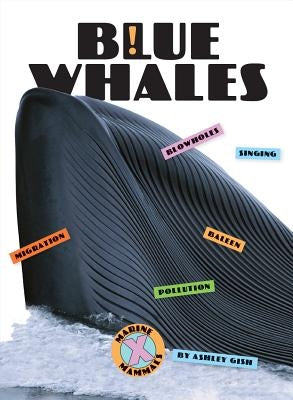 Blue Whales by Gish, Ashley