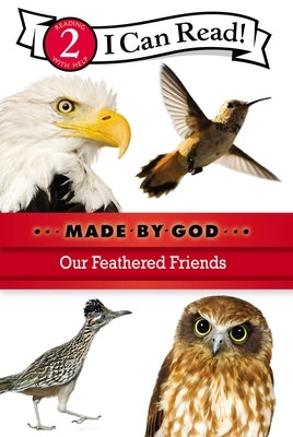 Our Feathered Friends: Level 2 by Zondervan