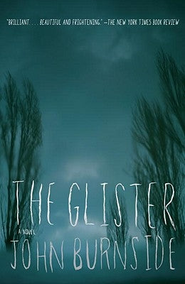The Glister by Burnside, John