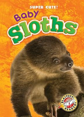 Baby Sloths by Schuetz, Kari