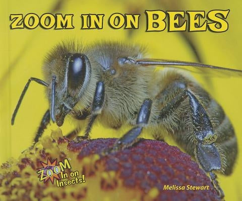 Zoom in on Bees by Stewart, Melissa