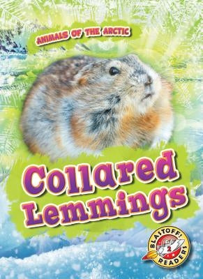 Collared Lemmings by Pettiford, Rebecca
