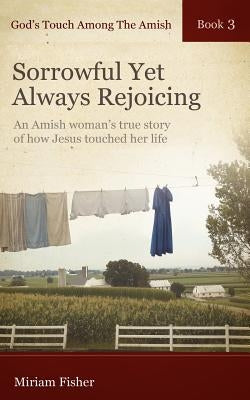 God's Touch Among The Amish Book 3 by Fisher, Miriam
