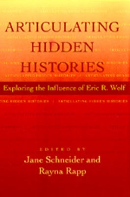 Articulating Hidden Histories by Schneider, Jane