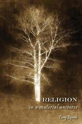 Religion in a Material Universe by Equale, Tony