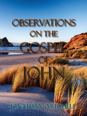Observations on the Gospel of John by Mitchell, Jonathan Paul