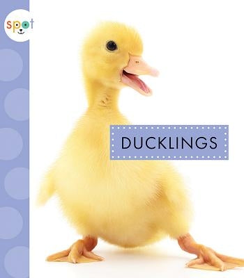 Ducklings by Suen, Anastasia