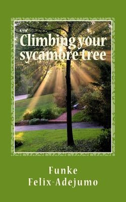 Climbing your sycamore tree: Nurturing your relationships by Felix-Adejumo, Funke