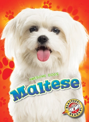Maltese by Duling, Kaitlyn