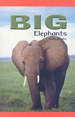 Big Elephants by Braidich, Shelby