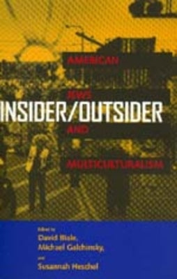 Insider/Outsider: American Jews and Multiculturalism by Biale, David