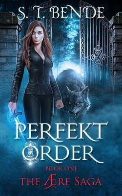 Perfekt Order by Bende, S. T.