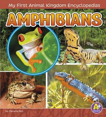 Amphibians by Bernay, Emma