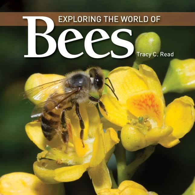 Exploring the World of Bees by Read, Tracy C.