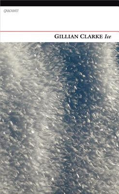 Ice by Clarke, Gillian