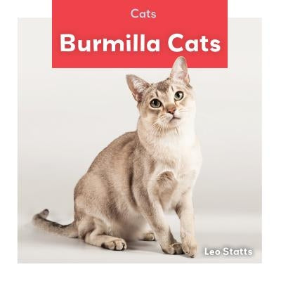 Burmilla Cats by Statts, Leo