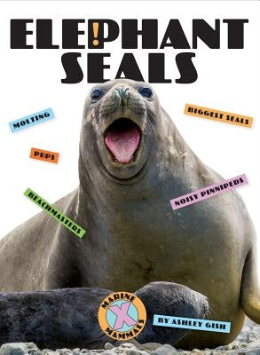 Elephant Seals by Gish, Ashley
