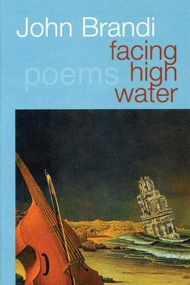 Facing High Water by Brandi, John