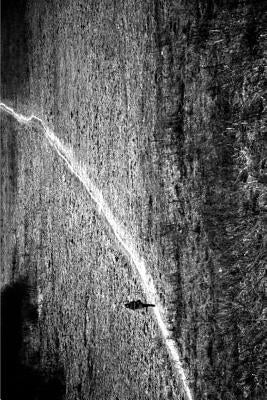 The Narrow Path - The Road Less Travelled by Zamora, Anthony John Lewis