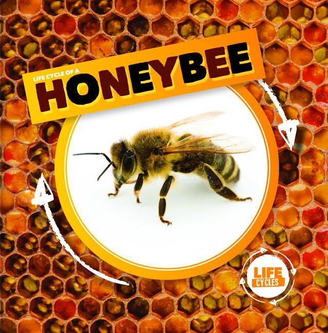 Life Cycle of a Honeybee by Holmes, Kirsty